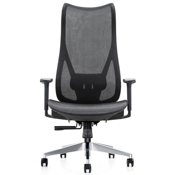 Mala High Back Full Mesh Ergonomic Office Chair 